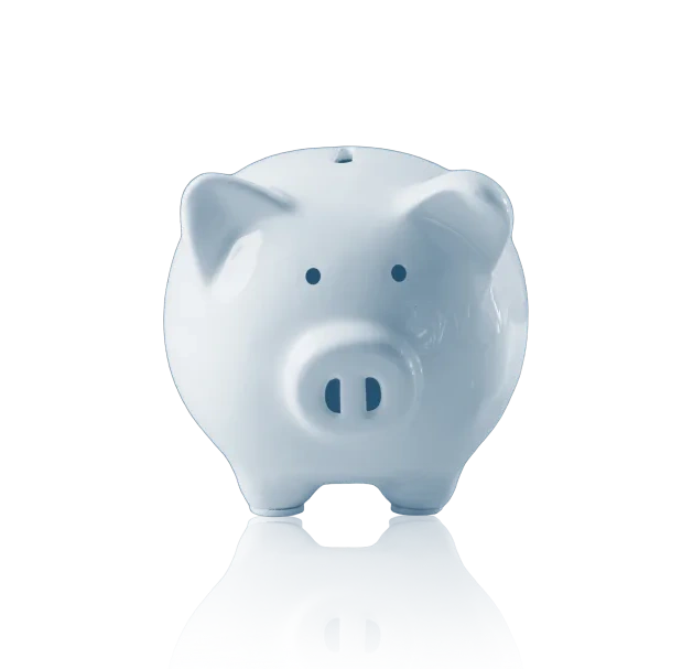 Statutory Accounts